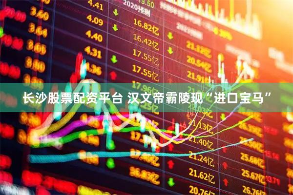 长沙股票配资平台 汉文帝霸陵现“进口宝马”