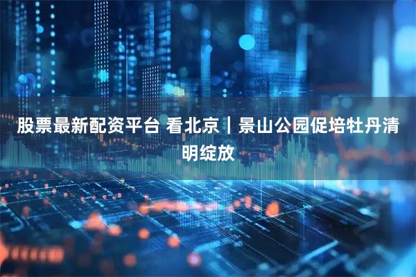 股票最新配资平台 看北京｜景山公园促培牡丹清明绽放