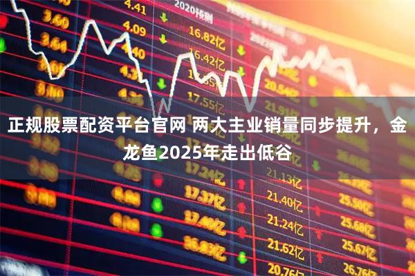 正规股票配资平台官网 两大主业销量同步提升，金龙鱼2025年走出低谷